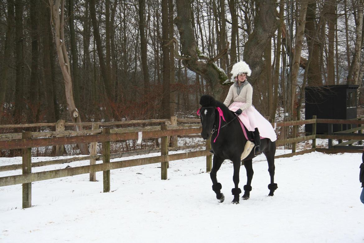 Oldenborg Rosita Krogh aka Maddy <3 - Fastelavn stævne Puddel-hunde kostume :) billede 16