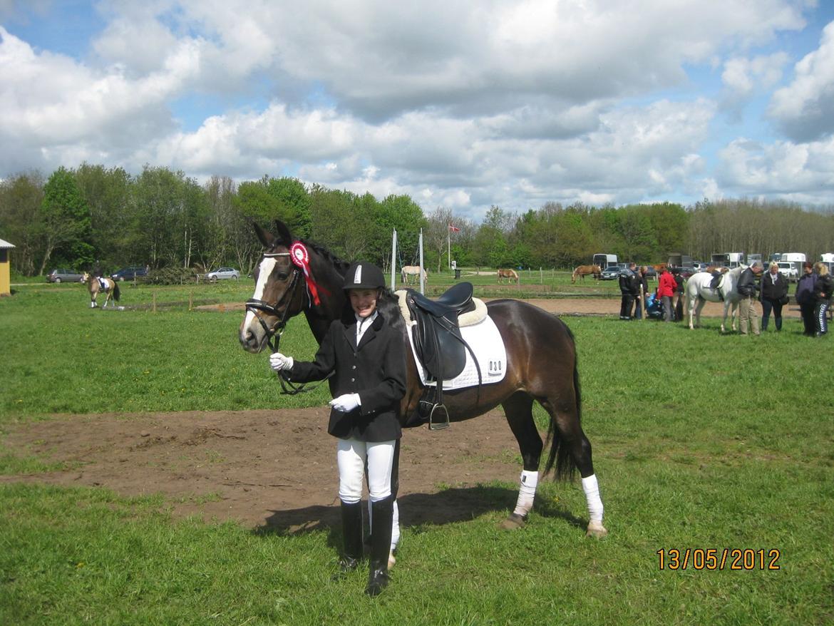 Hollandsk Sportspony Maggie [Himmelhest] - Det er altid dejligt med en førsteplads <3 billede 14