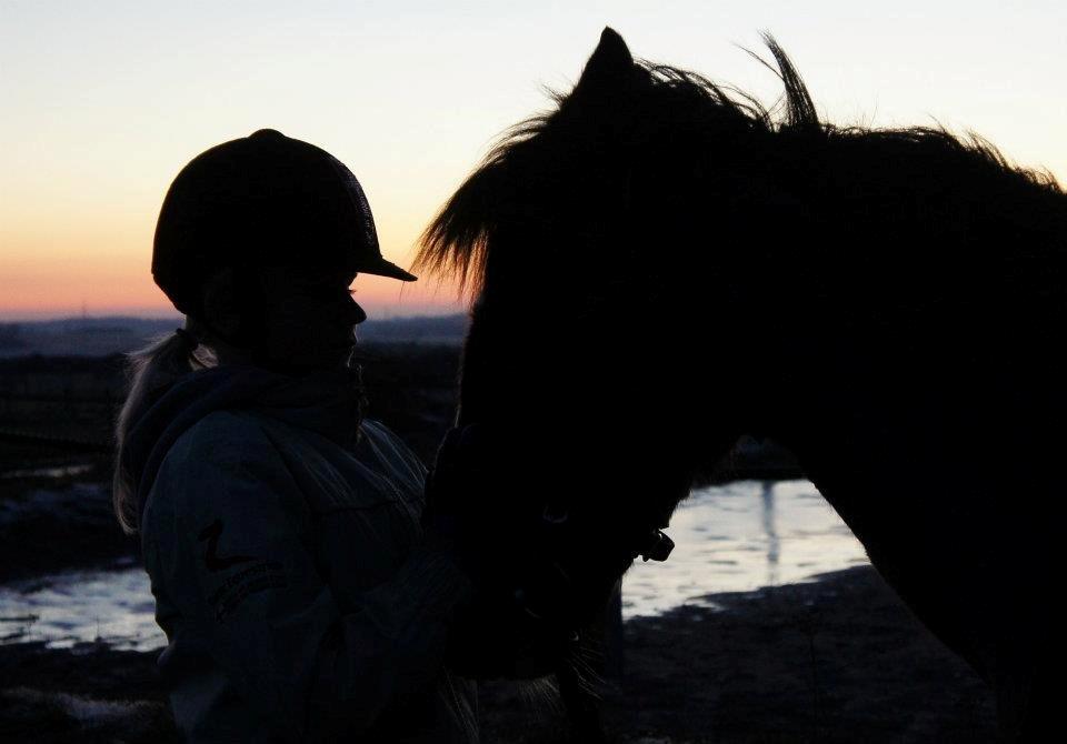 New Forest Staldbakkens Tic-Tacs - I solnedgangen sammen, du og jeg. Magi i luften<3 billede 10