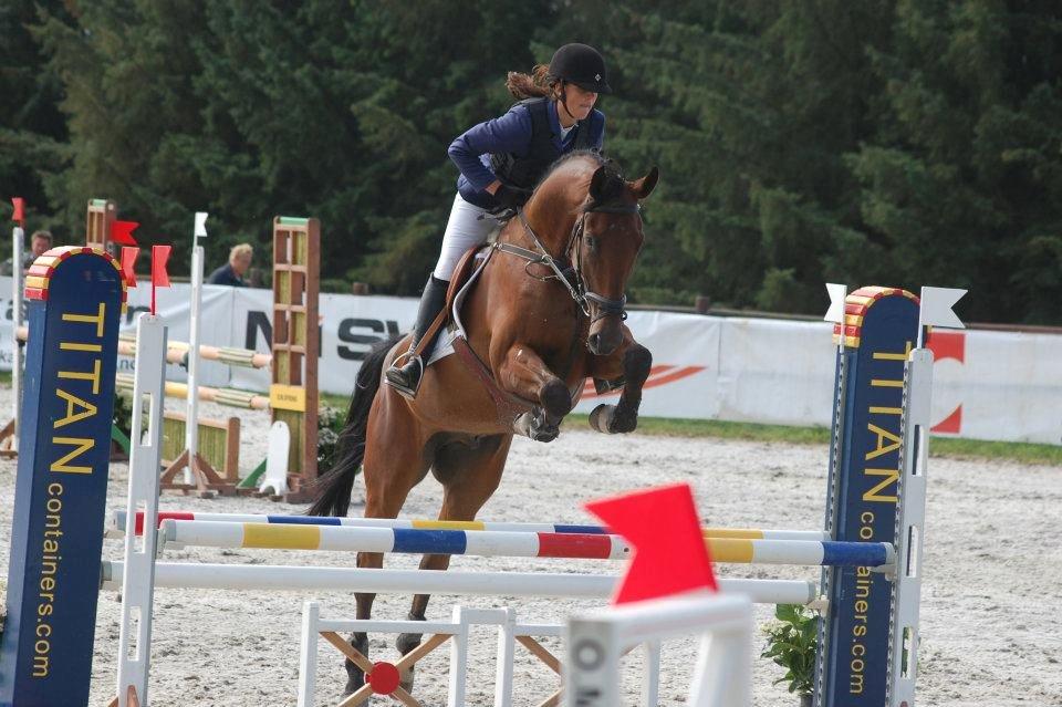 Dansk Varmblod Montana -S billede 2