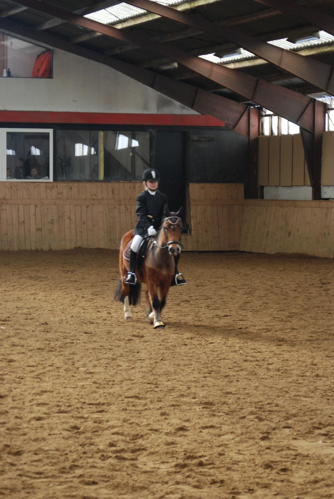 Anden særlig race Bølle Bob - LD1 68% så stolt :D billede 3