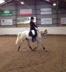 Anden særlig race Dundee<3 - stævne i hbr billede 5