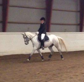 Anden særlig race Dundee<3 - stævne i hbr billede 18