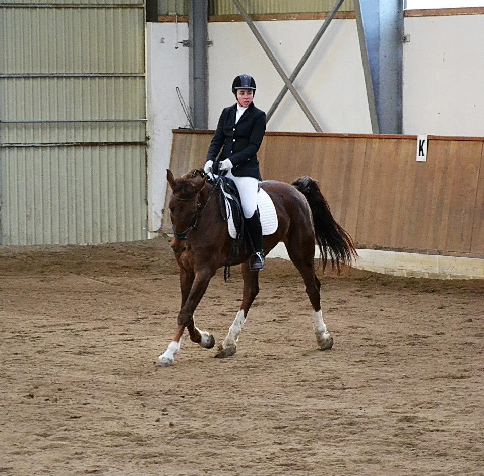 Anden særlig race Big Brother - Mig og Big til stævne 10/3-13. LB1. Foto: Luna Palmgreen billede 17