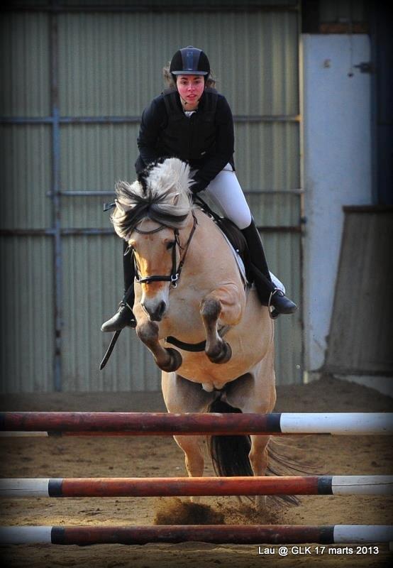 Fjordhest Søs - Mig og Søs til stævne d. 17/3-13. 70 cm. Foto: Lau billede 1