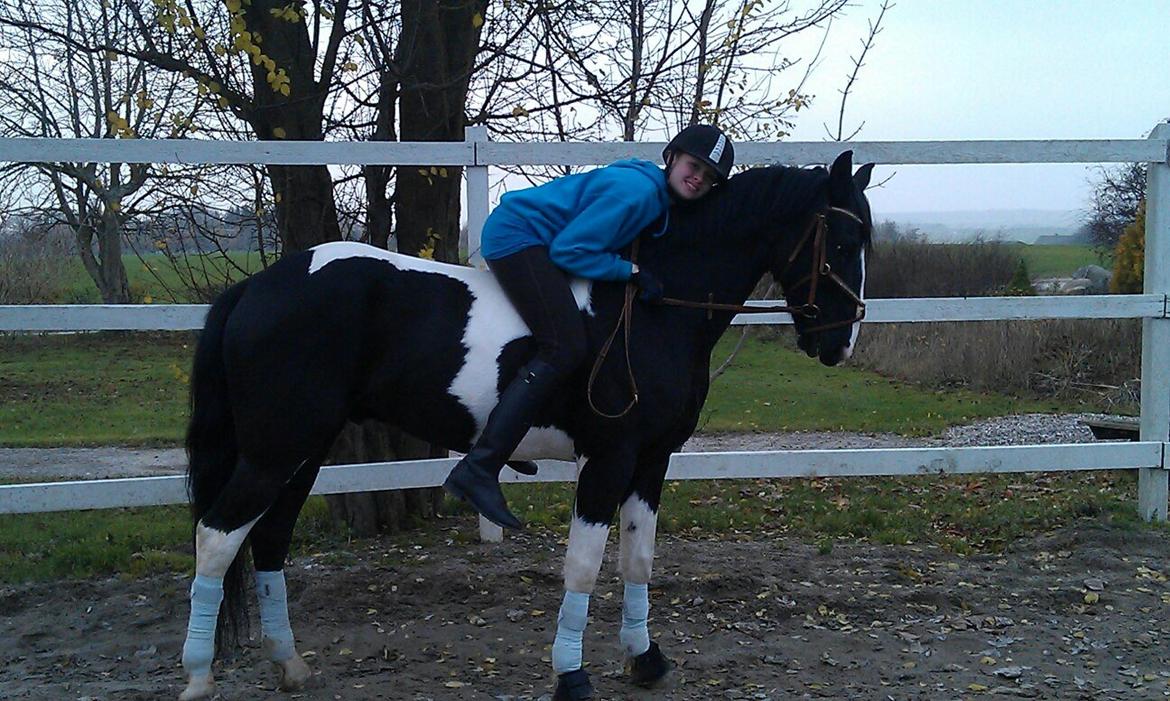 Barockpinto Jake - Jake og Jeg efter en rigtig god træning! <3 billede 13