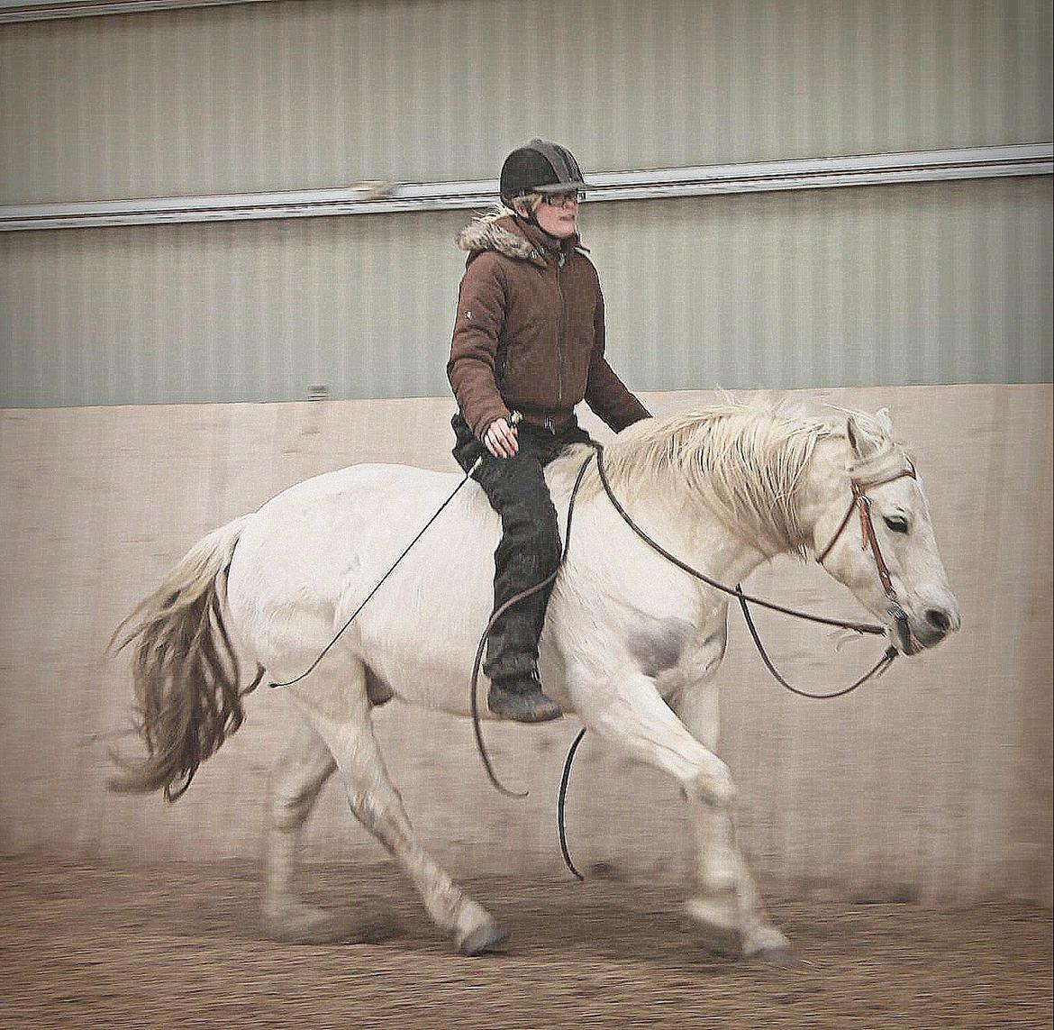 Connemara Søstholm Merlin *Mit liv* - 20) Min skønne prins <3 Billedet er taget midt i et prust, derfor hans sjove udtryk :) 17.3.13 *Foto: Sara* billede 12