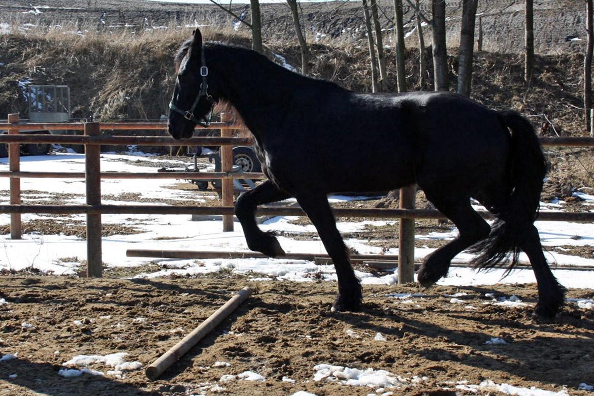 Frieser Hanna billede 8