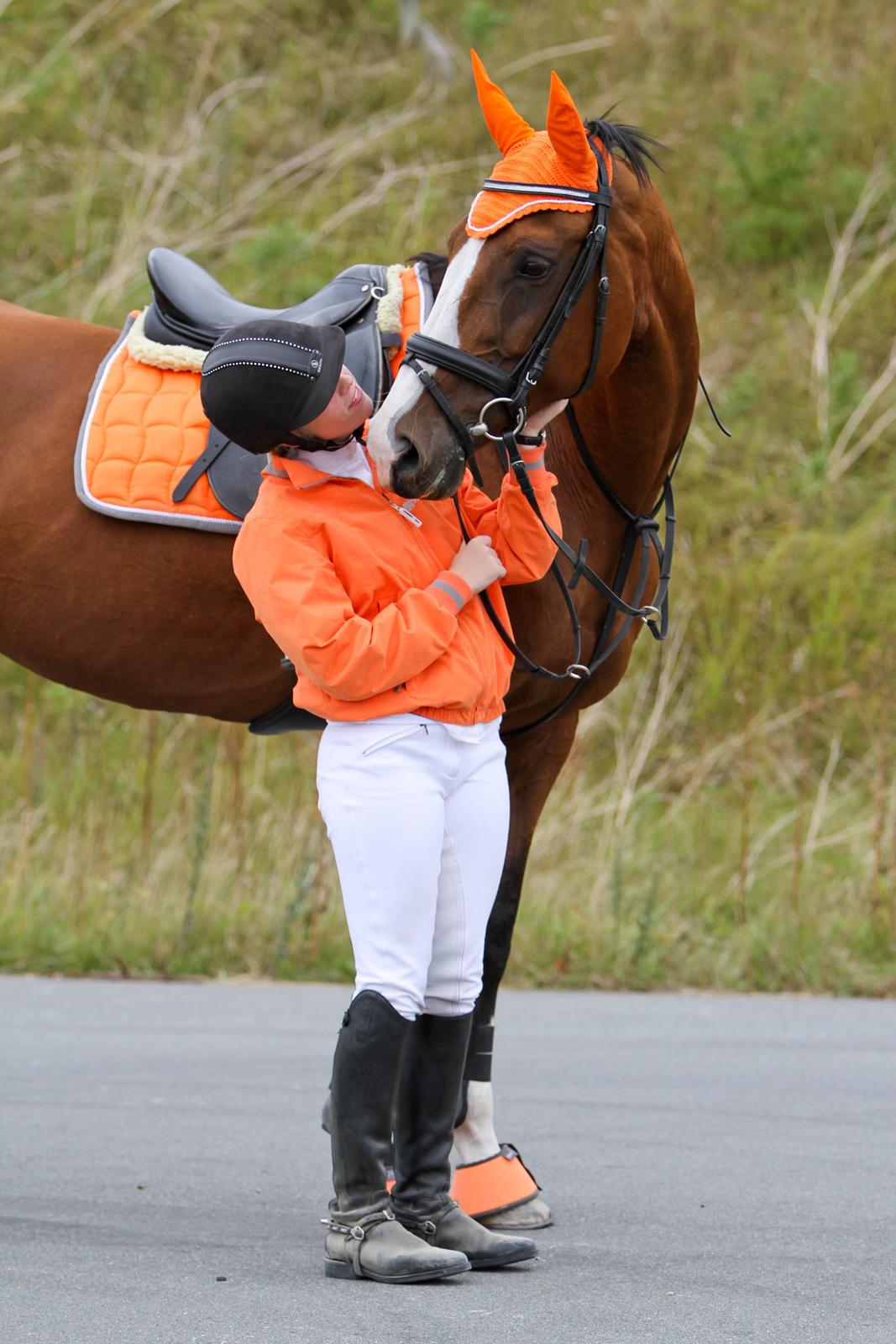 Hannoveraner Little Miss Lesly - Mit elskede og fantastiske orange sæt! billede 13