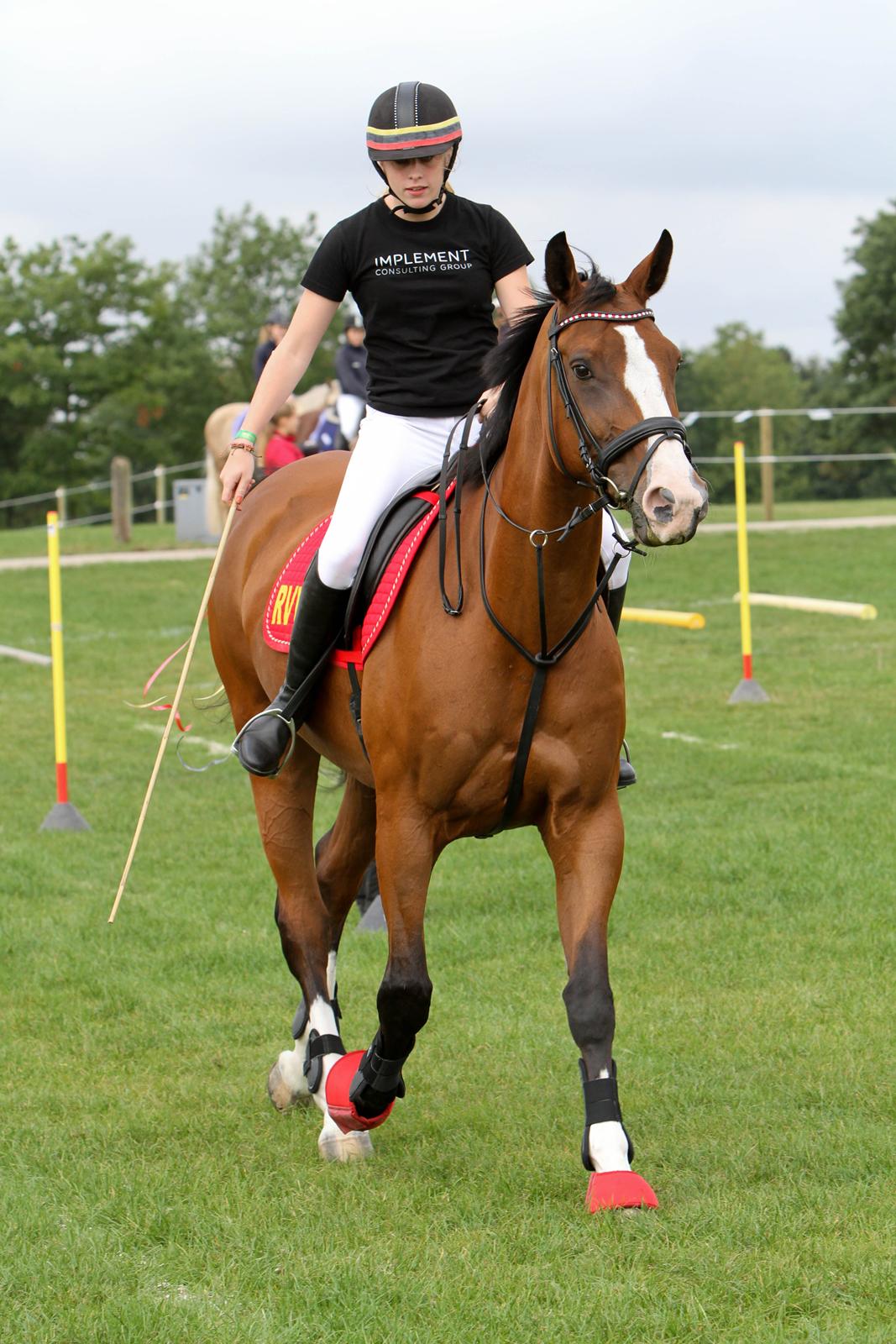 Hannoveraner Little Miss Lesly - Sjællandsmesterskab ponygames på Store Hestedag 2012 billede 19