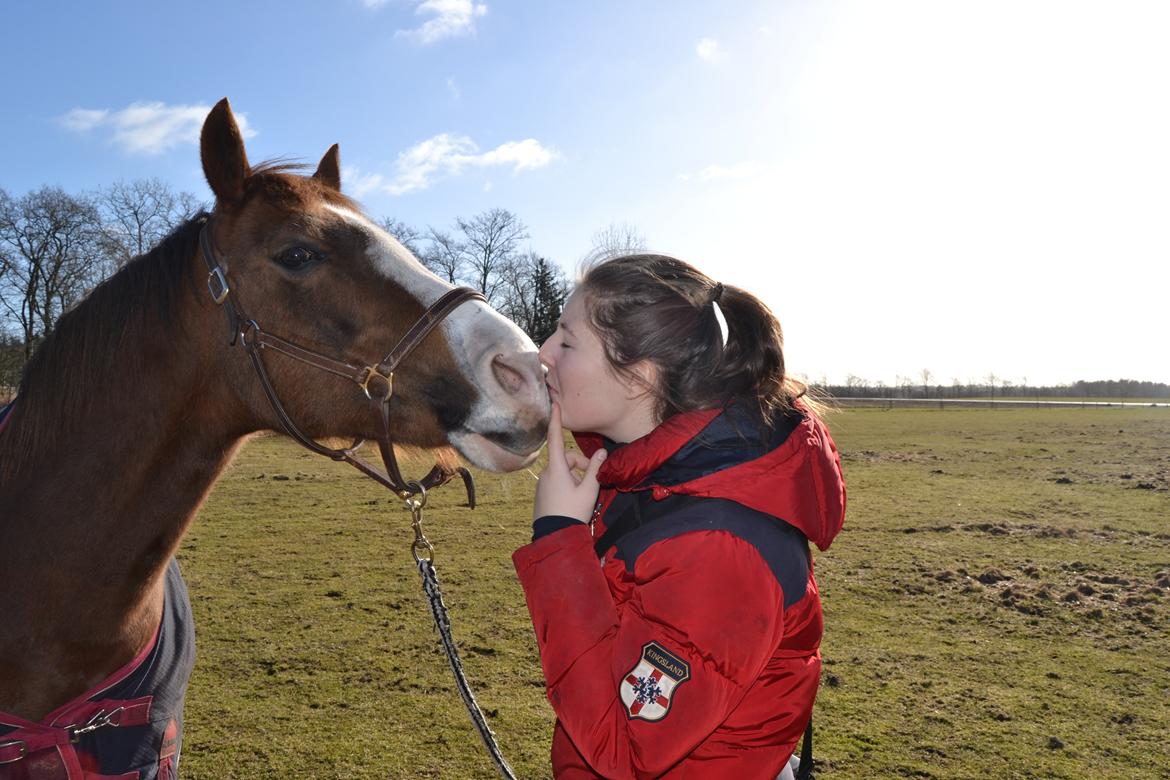 New Forest Just In Time billede 7