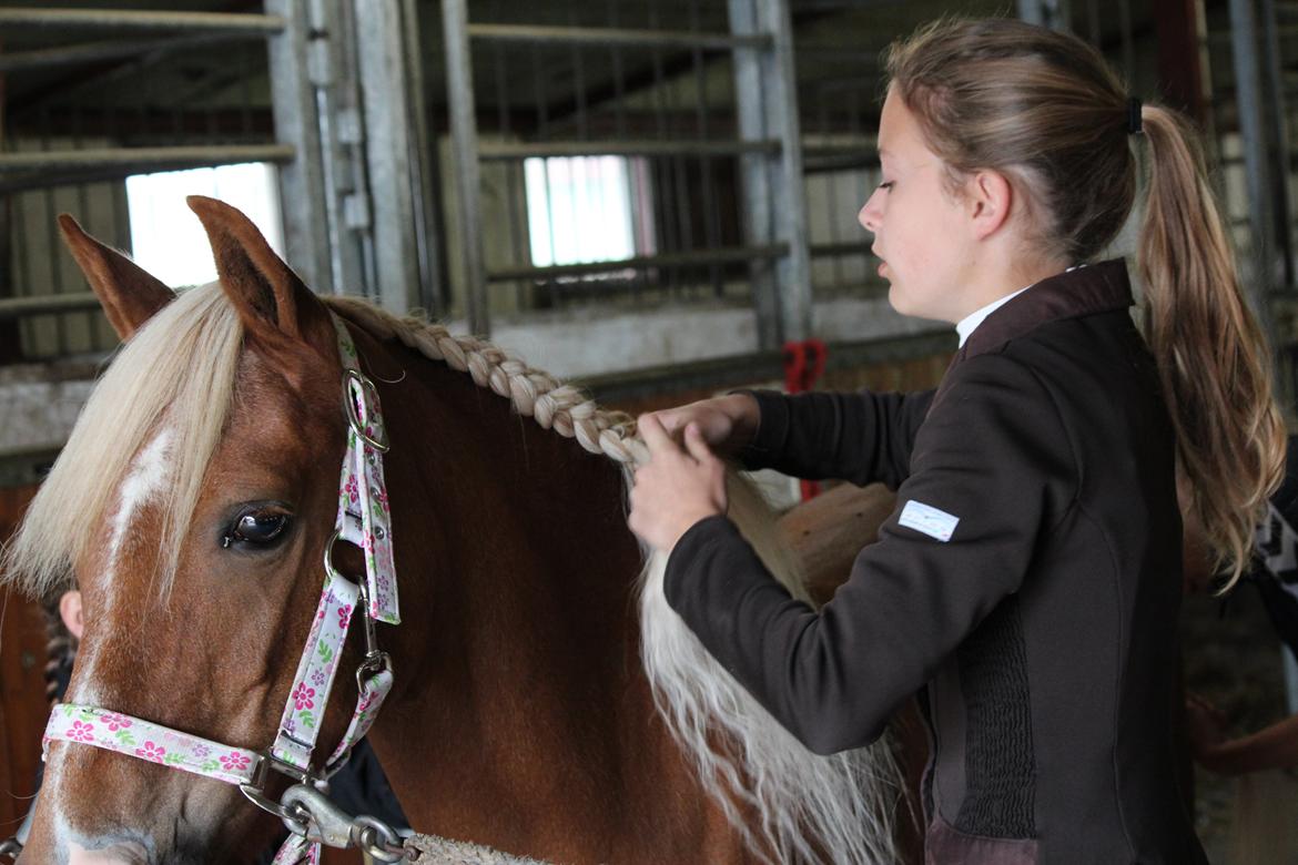 Anden særlig race Barbie Stella billede 6