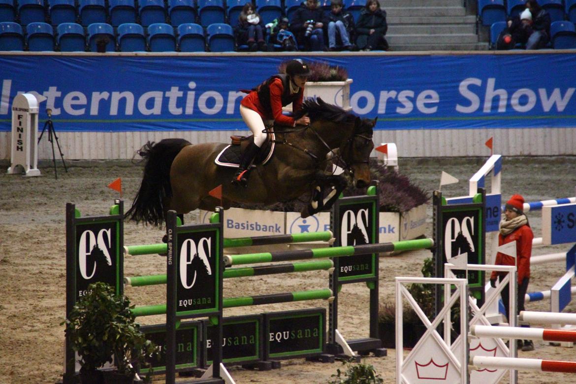 Dansk Varmblod Quatro - DM 2013
Ubeksrivelige hest <3 billede 20