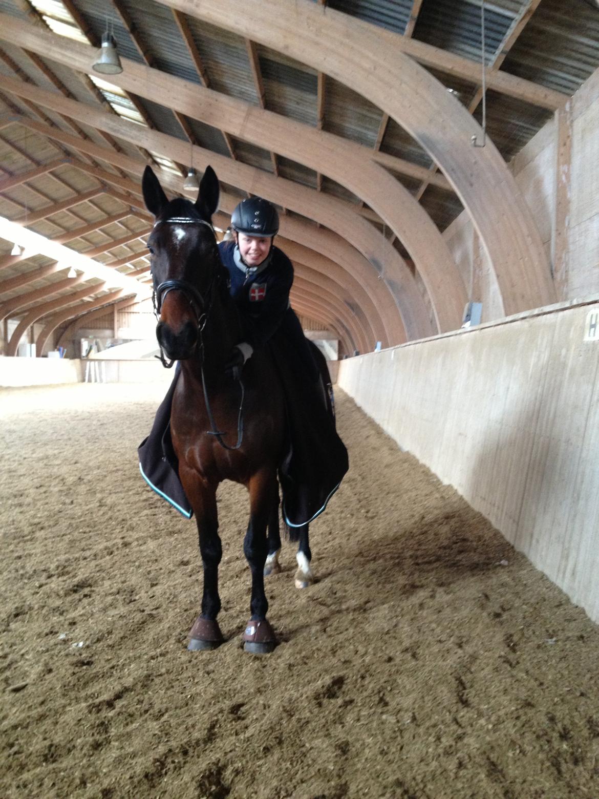 Oldenborg Højgaards Santos billede 7