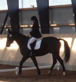 Oldenborg Højgaards Santos - Første stævne billede 9