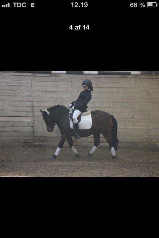 Anden særlig race Nikita *SOLGT* - Nikita og hendes nye ejer/part Emma :') billede 20