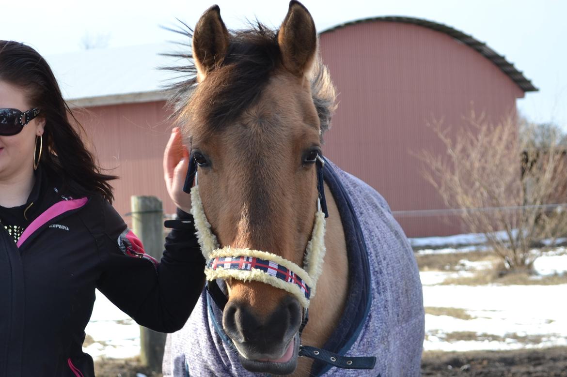 Anden særlig race lady<3 billede 2