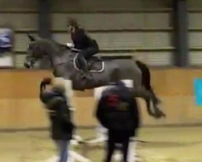 Holstener Ulana Lyngriis - Da jeg prøvede hende :-)  billede 2