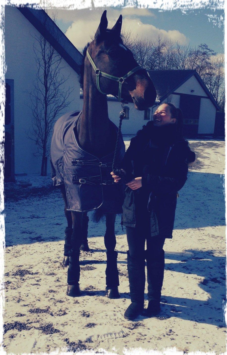 Holstener Ulana Lyngriis - Da vi hentede stjernen i herning <3 billede 1