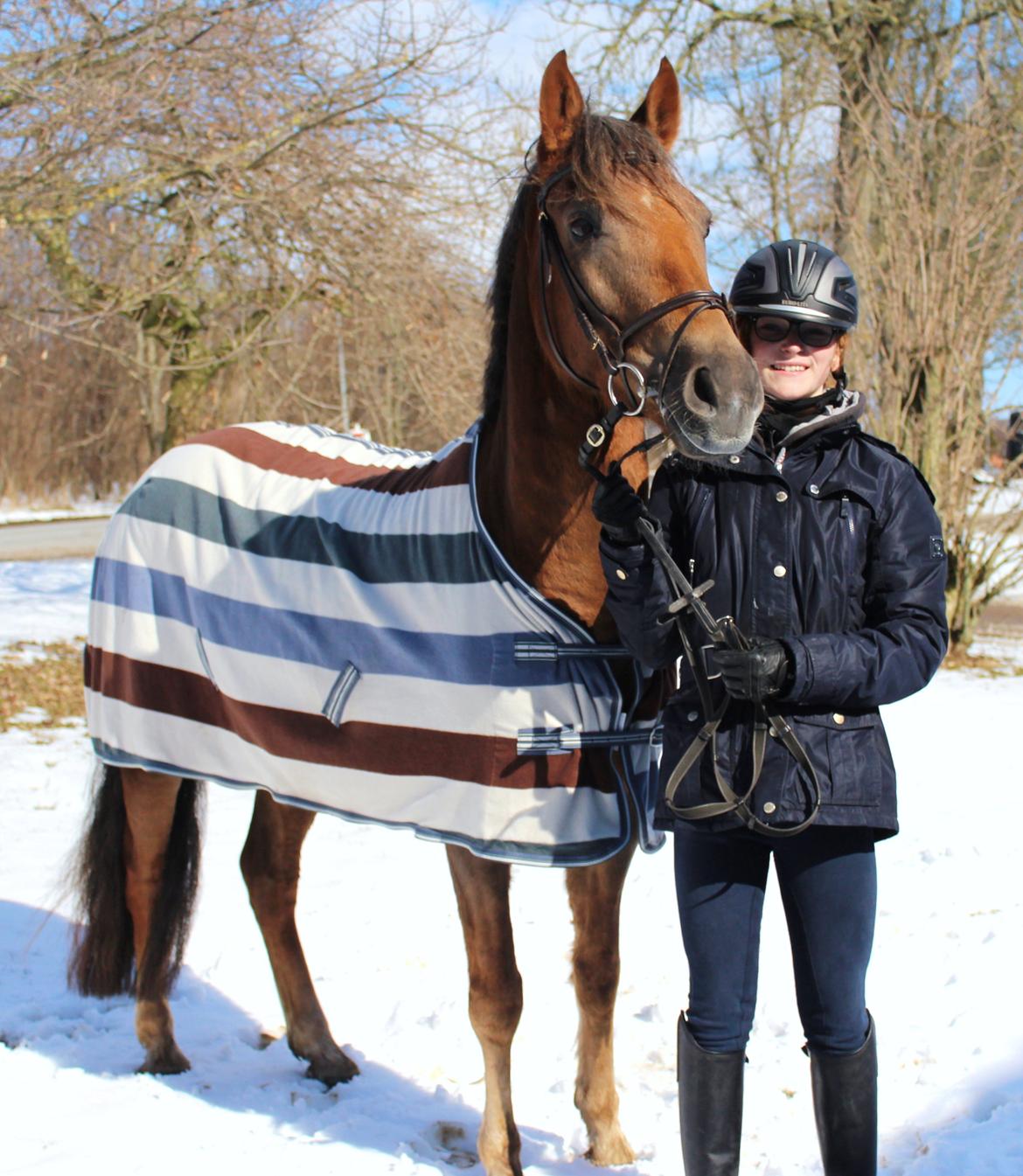 DSP Kærvangs GoldenFox - Blot et par dage efter jeg fik ham! - Mig? Den lykkeligste pige i Danmark <3 billede 14