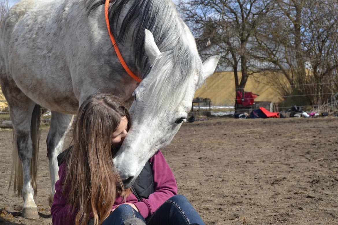 Anden særlig race Pasqual -My Unicorn- - Ingen mig uden dig, det er jeg ret så sikker på!  billede 33