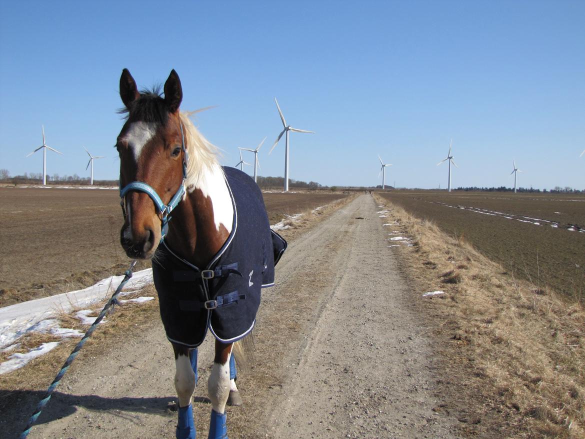 Paint Wild Fire - Love is an attempt to change a piece of the dream-world into reality billede 11