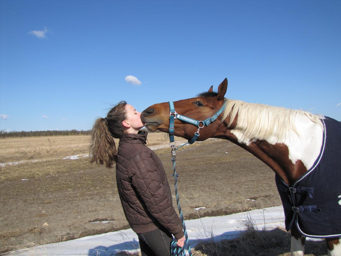 Paint Wild Fire - Last first kiss billede 1