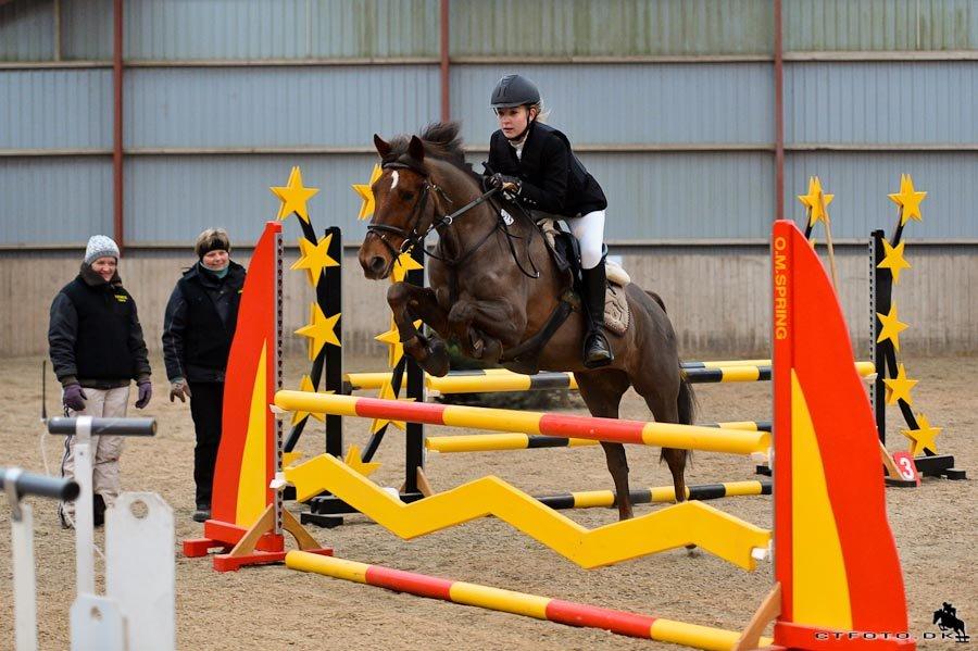 Anden særlig race Bambi - Lb fejlfri :-) . billede 17