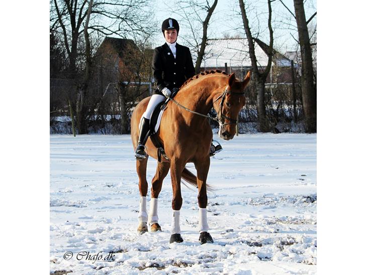 {{currentPhoto.altText}} billede {{currentPhoto.number}}