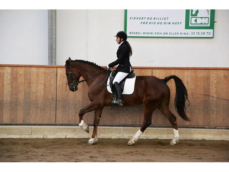 {{currentPhoto.altText}} billede {{currentPhoto.number}}