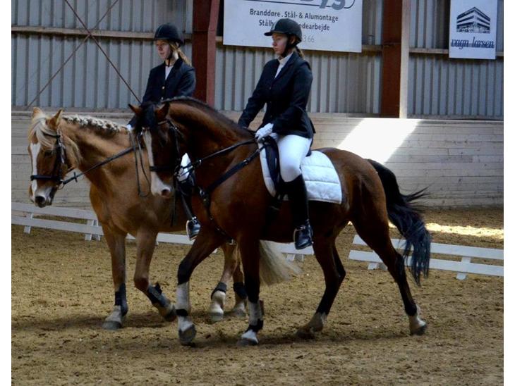 {{currentPhoto.altText}} billede {{currentPhoto.number}}