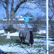 Anden særlig race Bellami