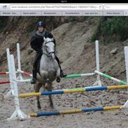 Anden særlig race Timian