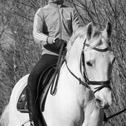 Anden særlig race Janus