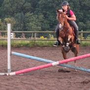 Anden særlig race Klosterhedens Talisman