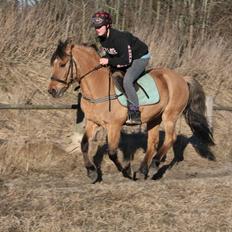 Anden særlig race lukas