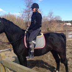 Oldenborg Højgaardens Jasmin