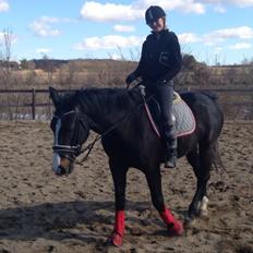 Oldenborg Højgaardens Jasmin