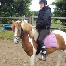 Anden særlig race Daisy <33
