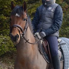 DSP LAZIONE KÆRLUND