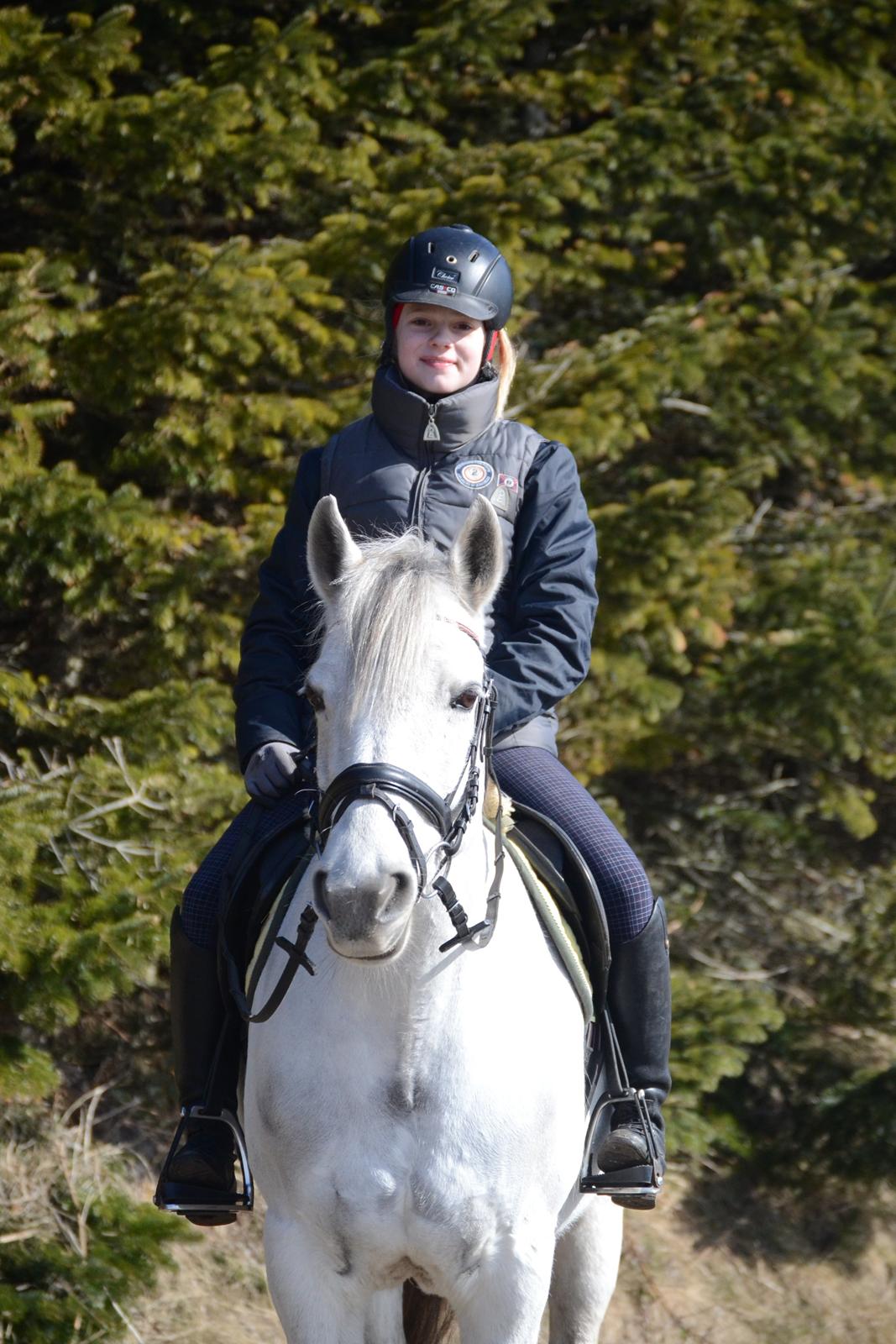 DSP MAUS - B-PONY billede 1