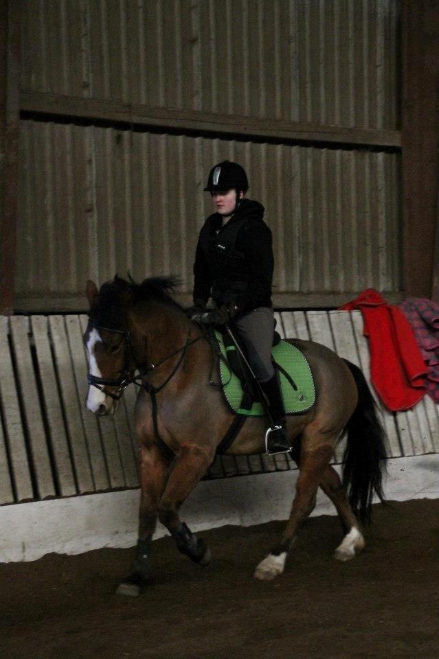 Anden særlig race Amigo(Møffe) billede 18