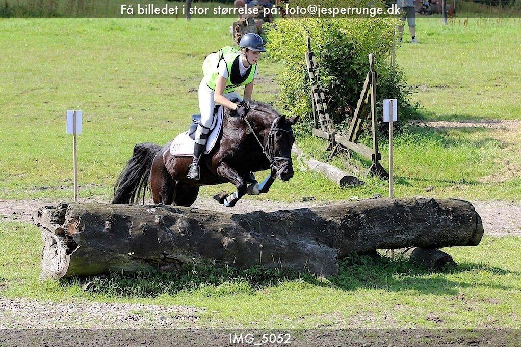 New Forest Roetie billede 14