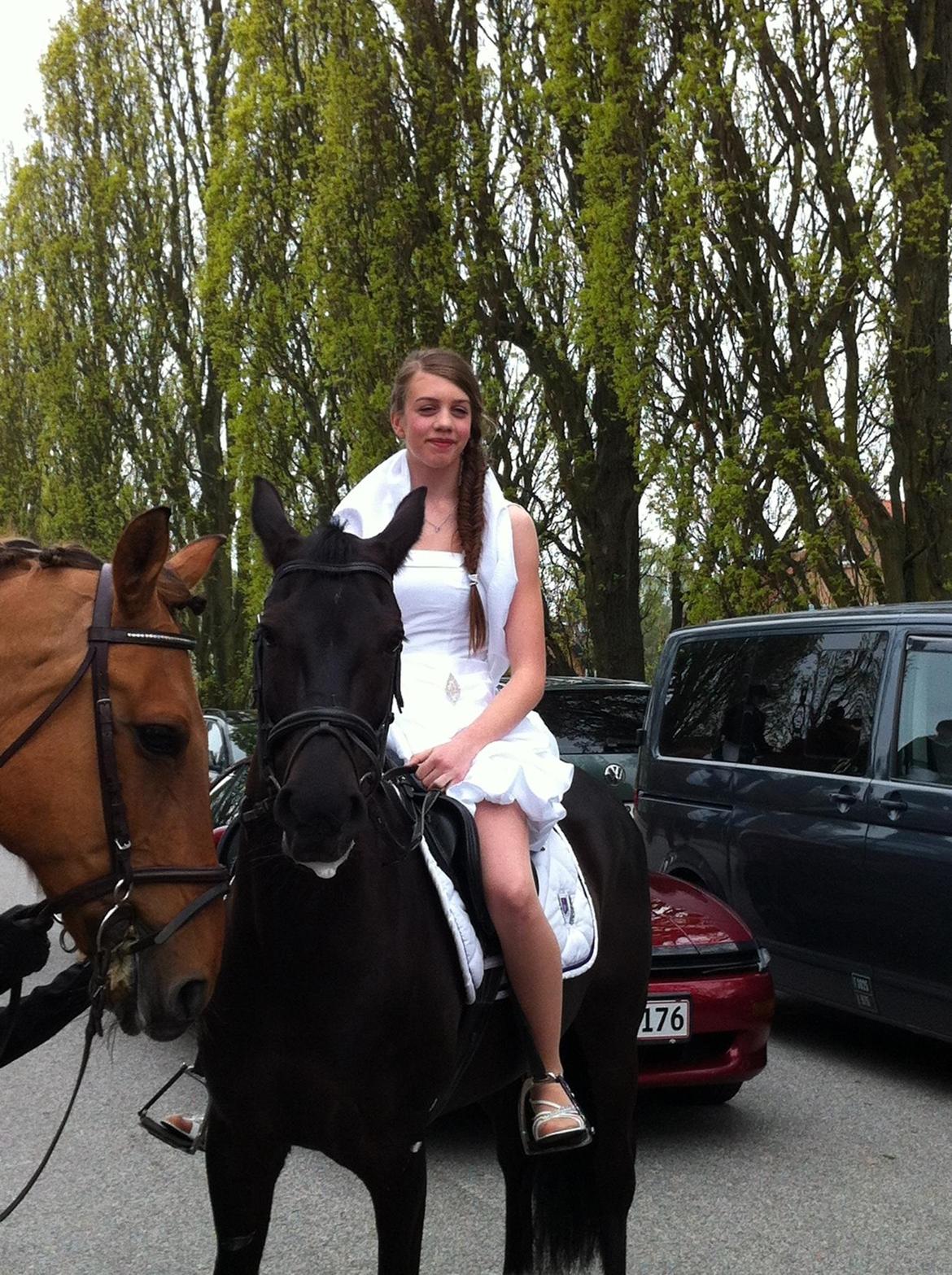 New Forest Roetie billede 17