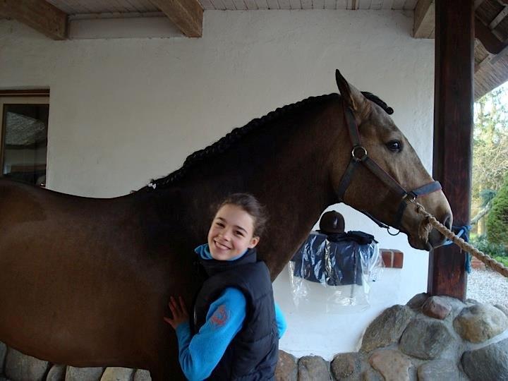Lusitano Dinamico billede 4