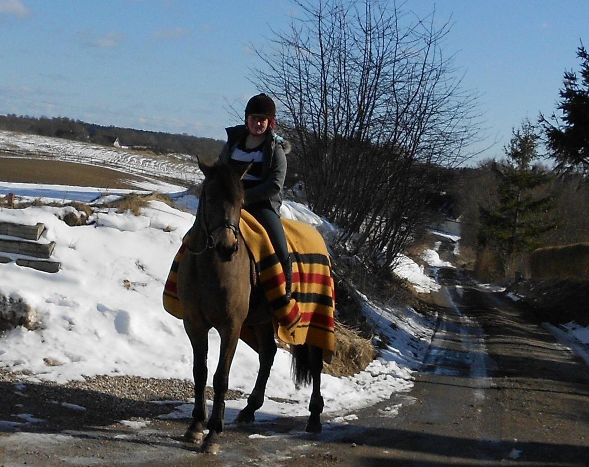 Lusitano Dinamico - Min veninde Ronja, og Dinamico<3
-de var super fine sammen:D billede 9