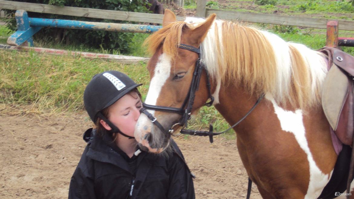 Anden særlig race Daisy <33 - Mysser <33 billede 2