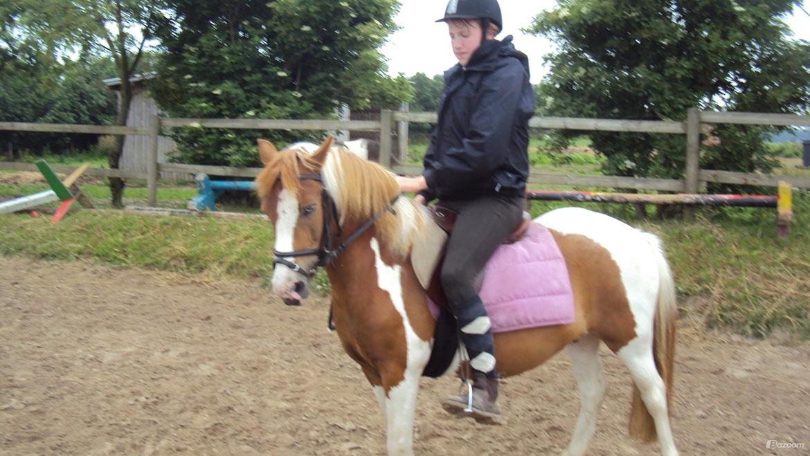 Anden særlig race Daisy <33 - Så kom man op <33
 billede 3