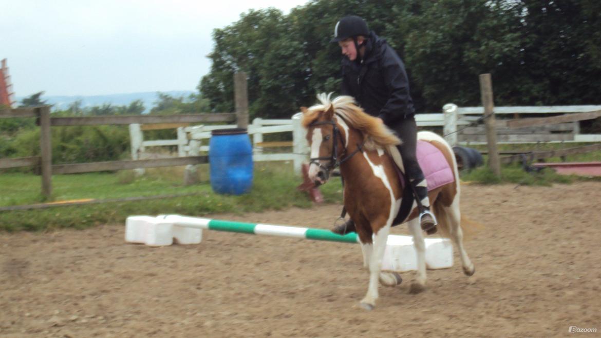 Anden særlig race Daisy <33 - En forbier, men var osse vores første gang sammen <33 billede 4