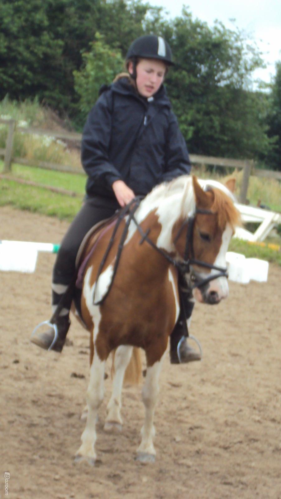 Anden særlig race Daisy <33 - Så poserede vi lige til kameraet <33 :D billede 6